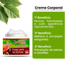 Creme Castanha da India para varizes e má circulação 240g